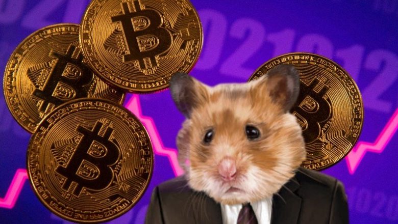 a-hamster-beats-giants-in-crypto-trading-5FlhO6gb-780x440-1