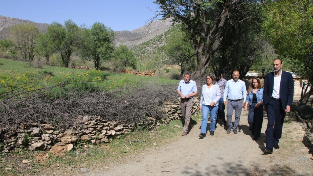 HDP'li vekil Ayşe Acar Başaran Timok köyünden konuştu