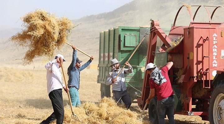 tarmı kanunu