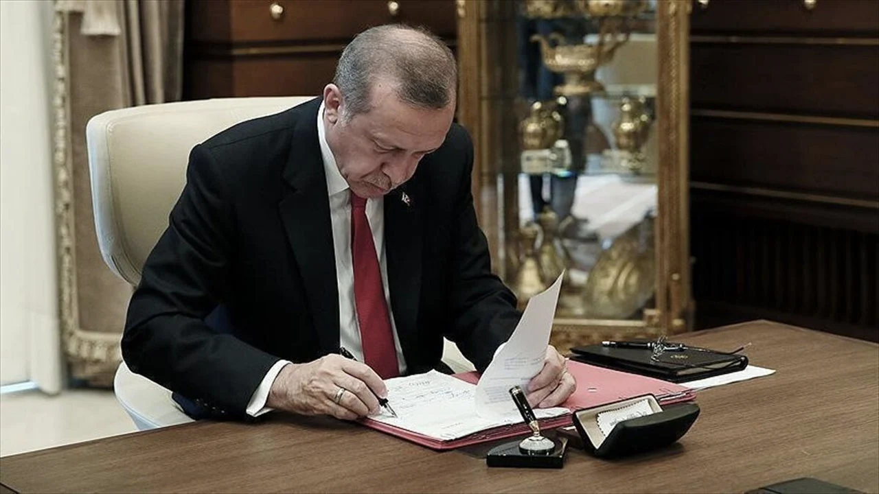 erdoğan resmi