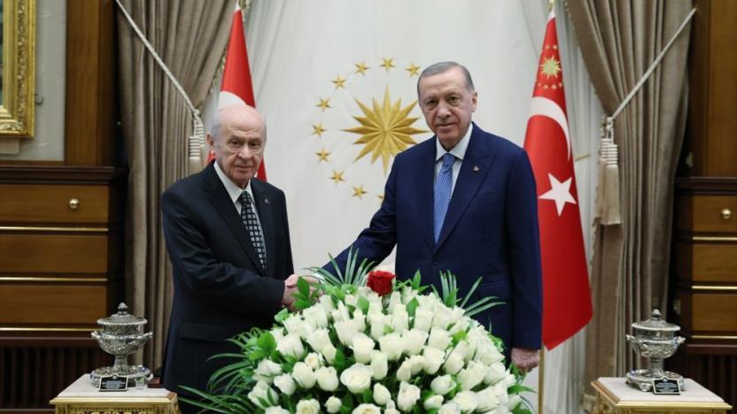 erdoğan bahçeli