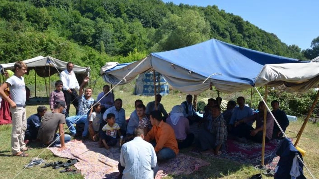 fındık işçileri