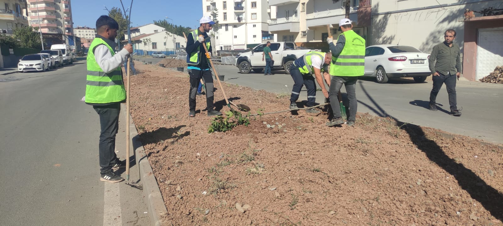 Park ve Bahçelerde Ağaçlandırma ve Çimlendirme (2)